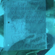 Image for article titled Woman Writes Heartbreaking Tribute to Boyfriend Who Died Shortly After Underwater Proposal